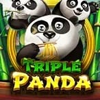 Triple Panda game icon